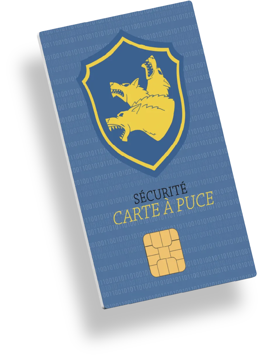 Carte à puce SSE